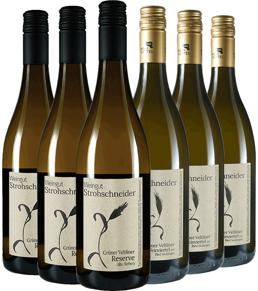 Grüner Veltliner-Paket trocken