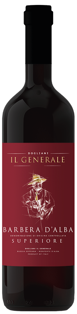 2023 Superiore Barbera d'Alba DOC