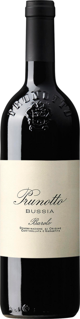 2004 Bussia Barolo reflection