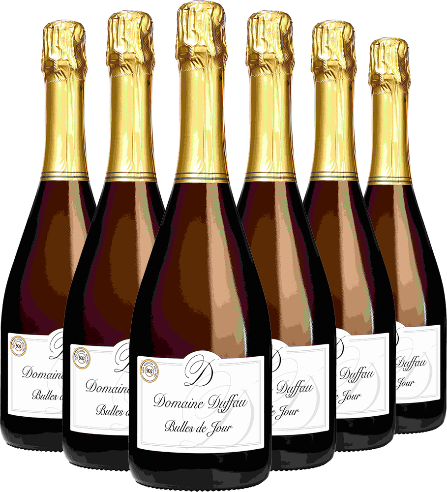 Rabattiertes Paket "Bulles de jour" Gaillac AOP BIO BIO
