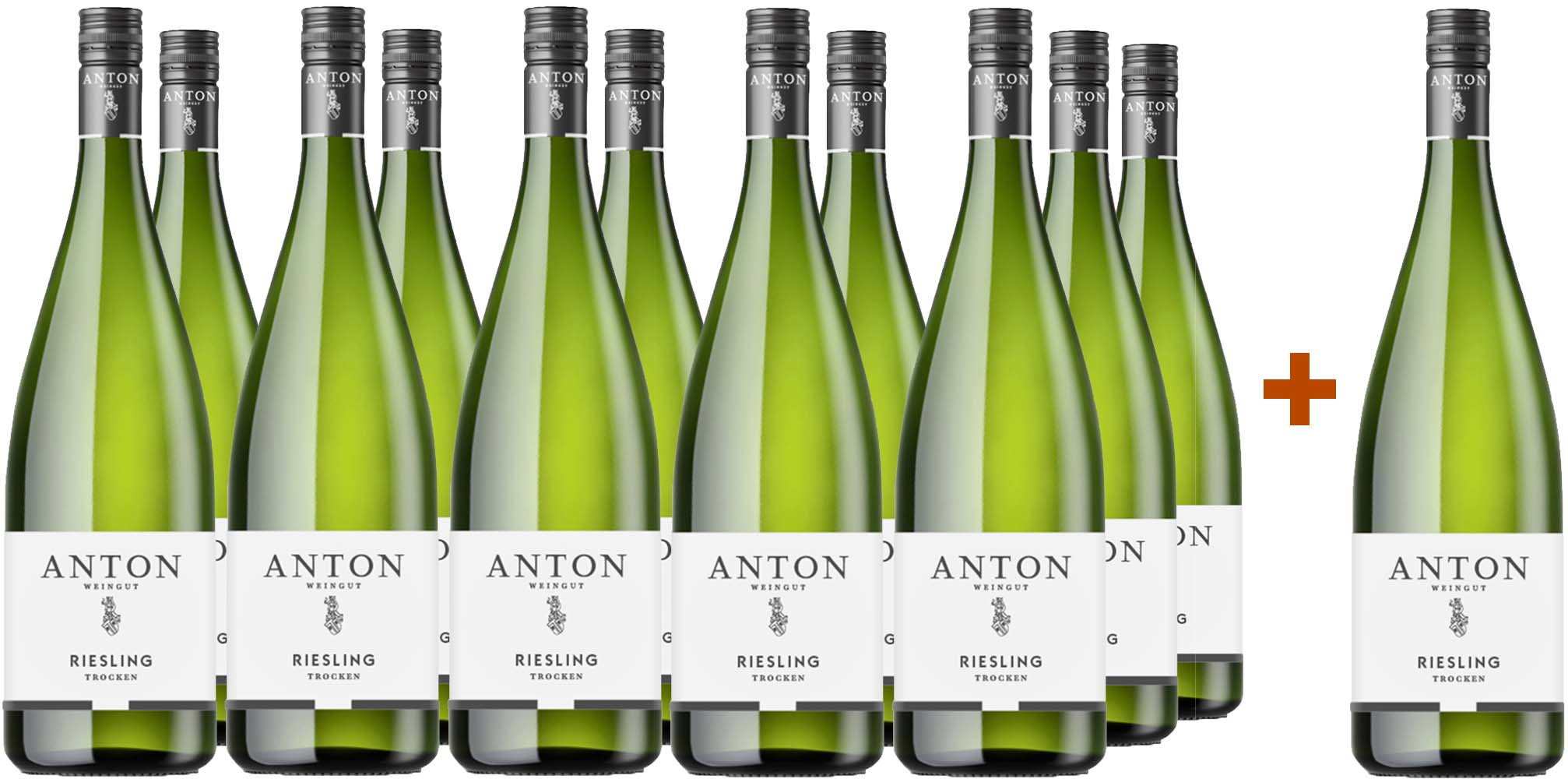 11+1 Paket Riesling trocken 1,0L