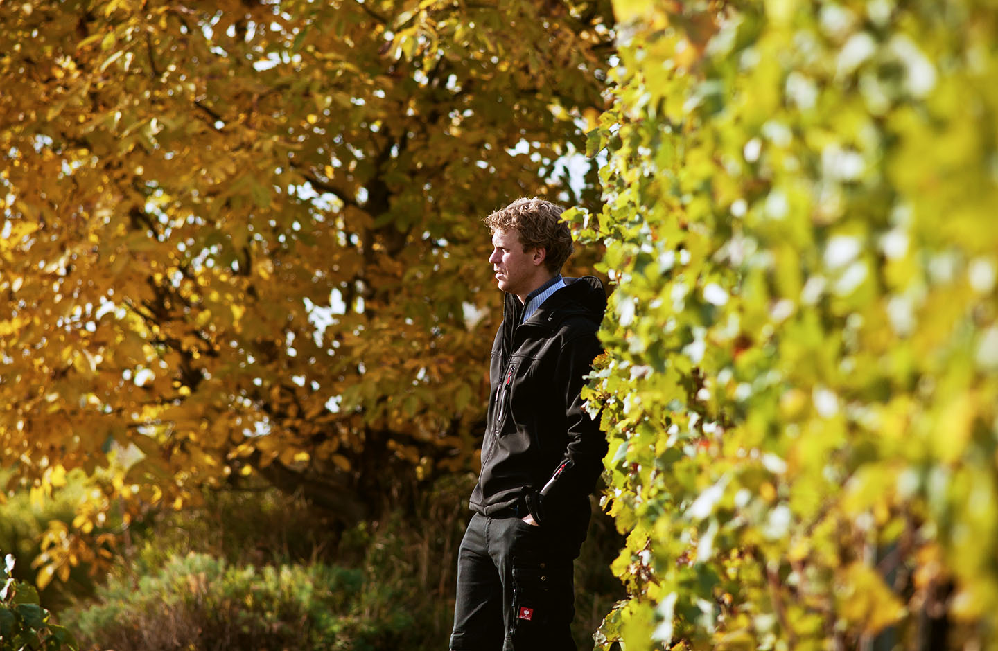 Strauch Sektmanufaktur