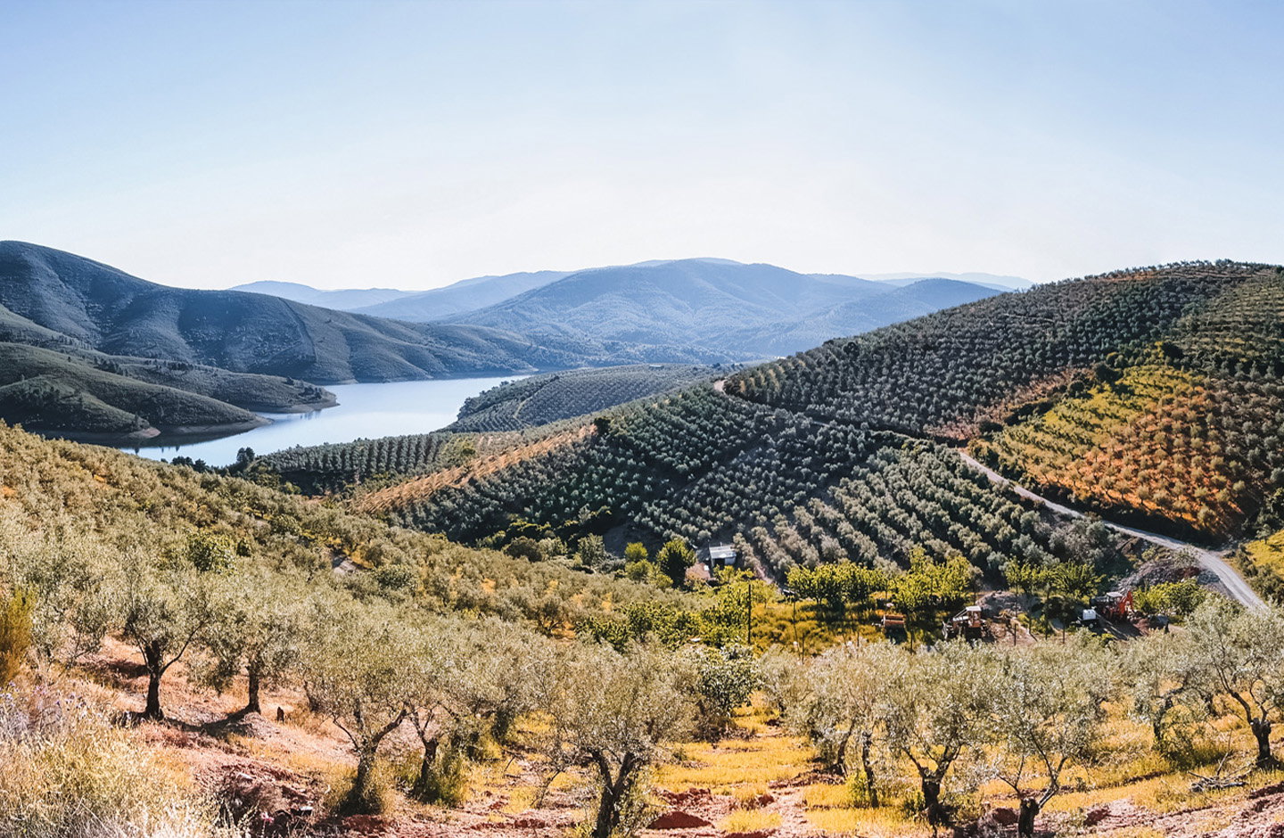 Südsteirische Eleganz – Traminer Trio genießen