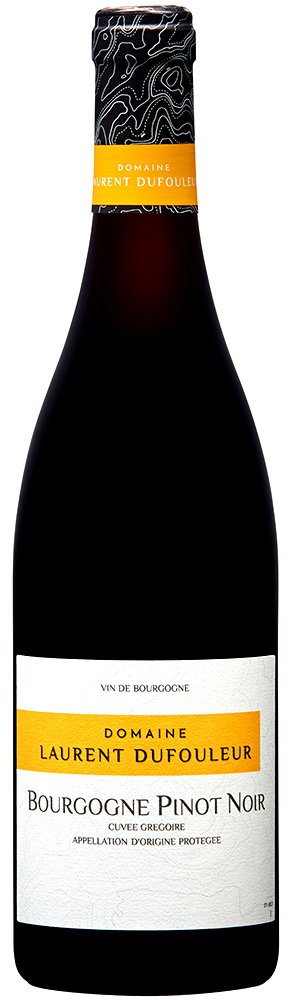 2023 Pinot Noir boisé 'Cuvée Grégoire' Bourgogne AOP