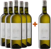 Traditionelle Heurige vor den Toren der Stadt