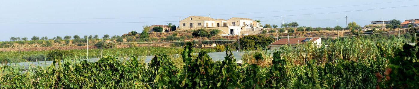 Poggio di Bortolone