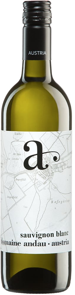 2022 Sauvignon Blanc reflection