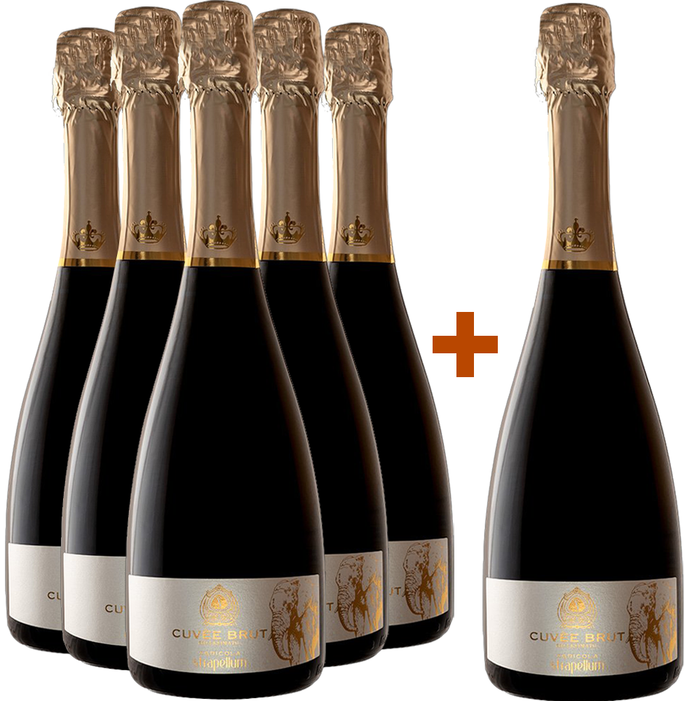 5+1 Paket Spumante Cuvèe Millesimato
