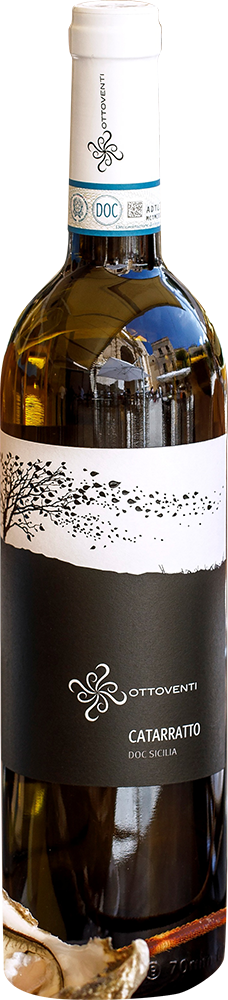 2024 Catarratto Sicilia DOC BIO