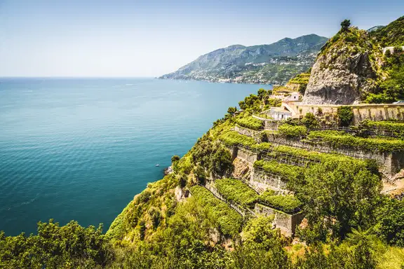 cliff vineyard