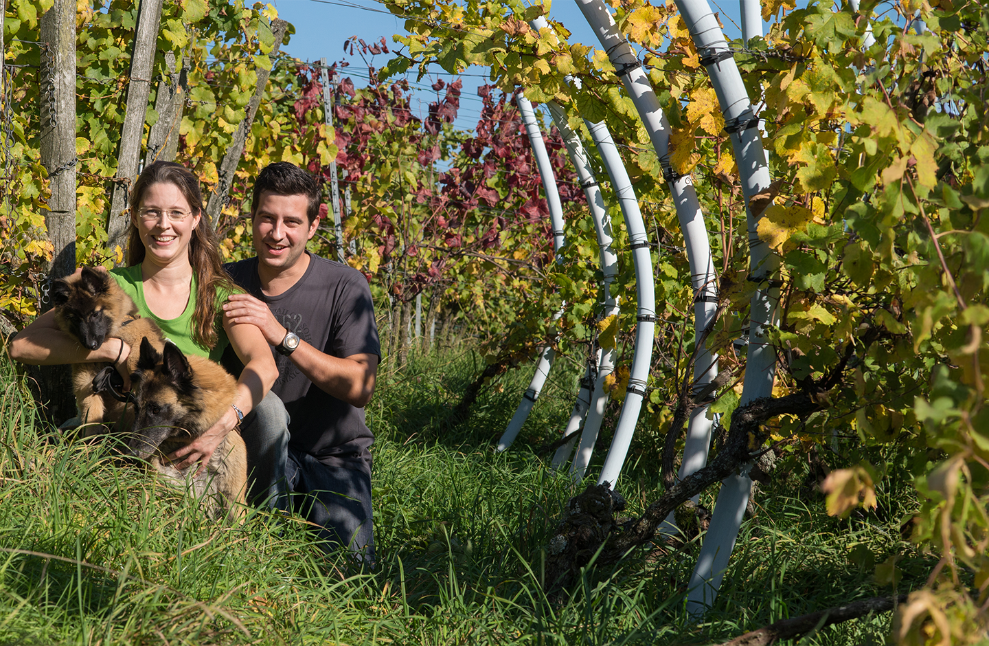 Niwenburg Dominik Zorn