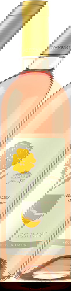 2024 Pinot Grigio Ramato Friuli DOC