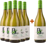 5+1 trockener Weißwein – perfekt für jeden Anlass