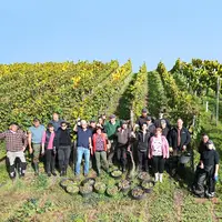 Vereinigte Hospitien