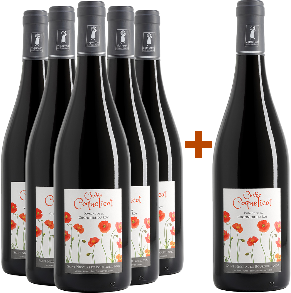 5+1 2023 Cuvée "Coquelicot" Saint Nicolas de Bourgueil AOP trocken