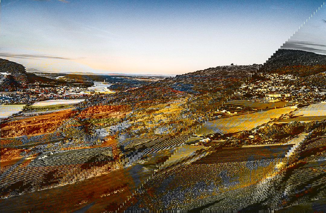 Riedmüller Michaela