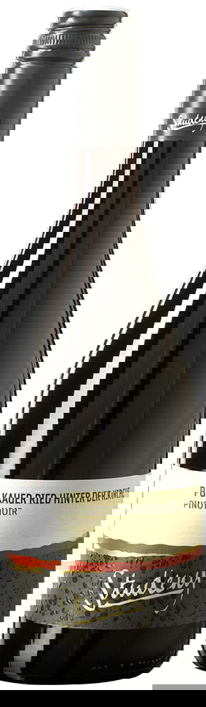 2023 Pinot Noir Pulkauer Ried Hinter der Kirche