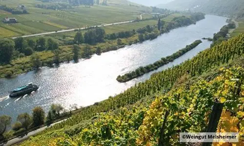 Weinberg Steilhang an Fluss