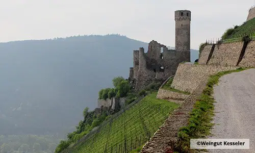 Burgruine in steilem Weinberg