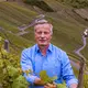 Weingut Kaufmann-Nowack