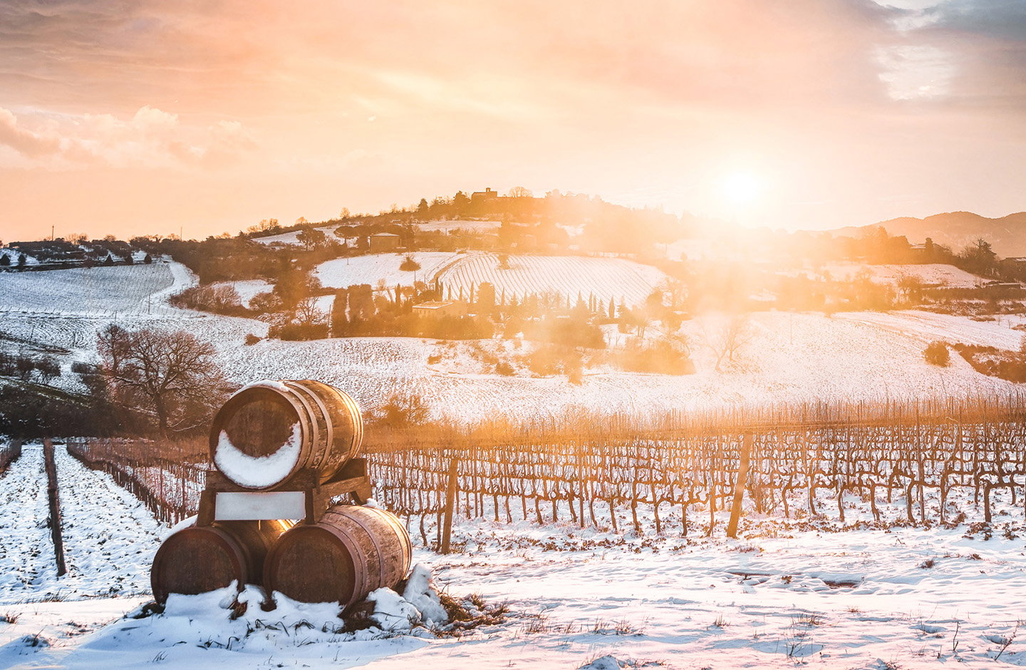 Genuss Paket für die kalte Jahreszeit