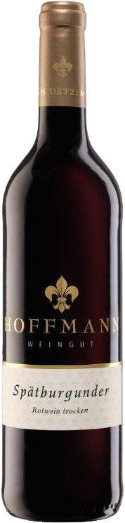 2024 Spätburgunder Rotwein