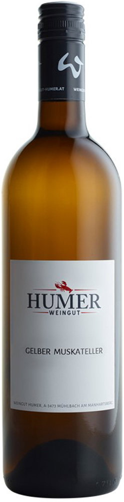 2024 Gelber Muskateller