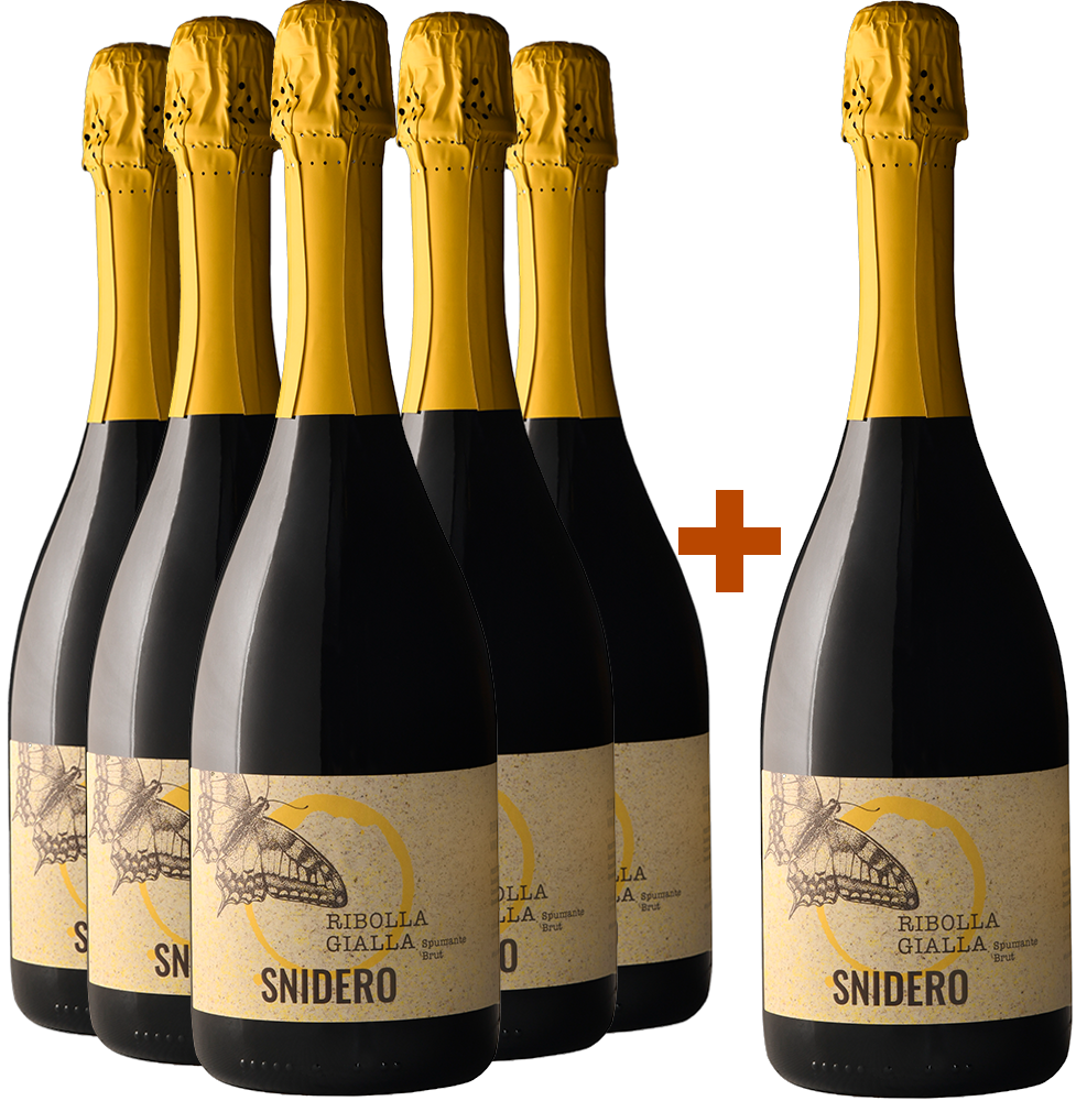 5+1 Paket Ribolla Gialla