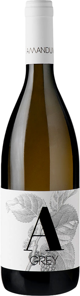 2023 Grey Pinot Grigio Friuli Isonzo DOC