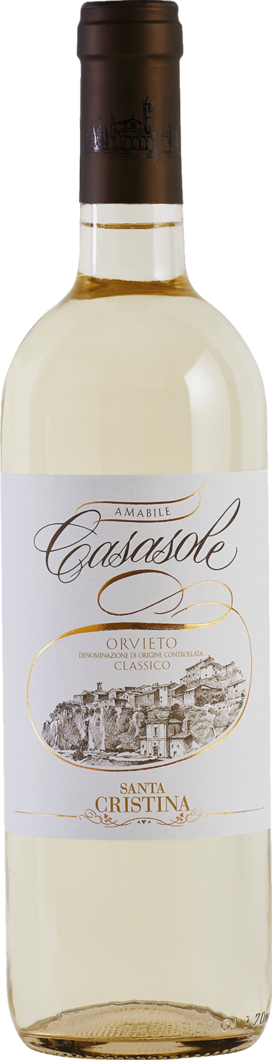 2025 Santa Cristina Casasole Antinori reflection