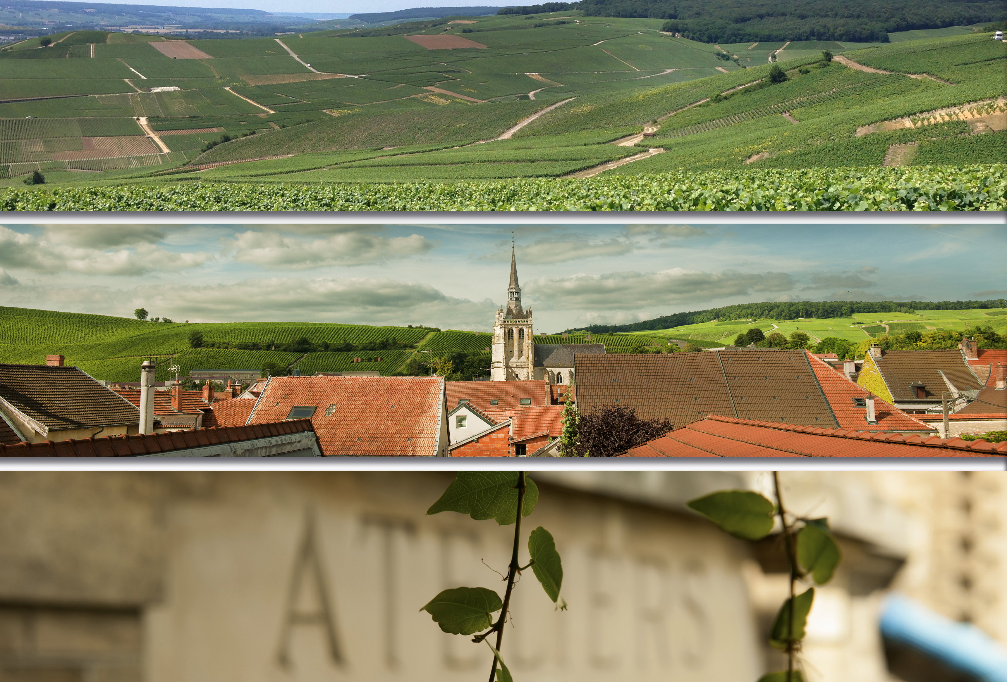 Champagne Brimoncourt