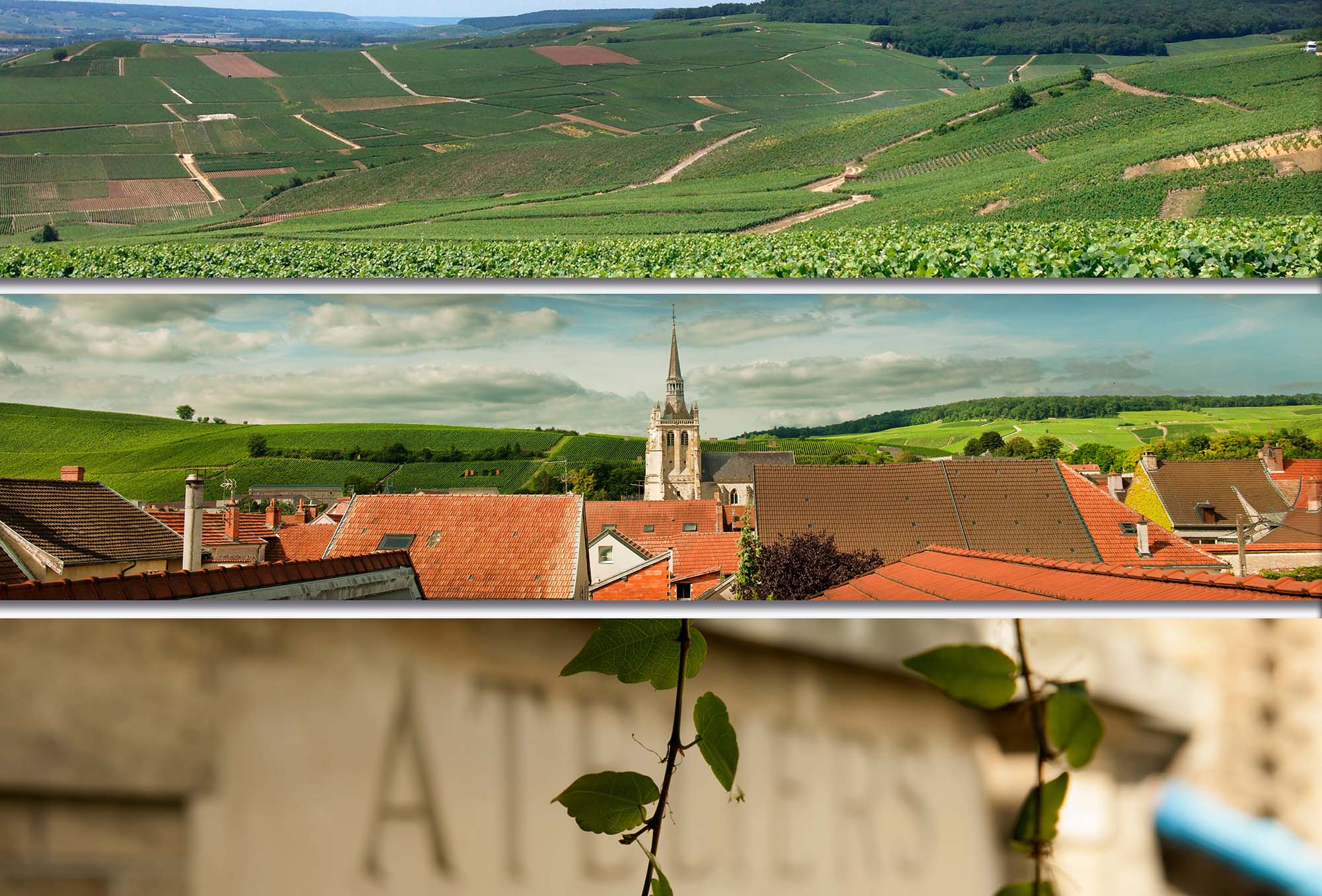 Champagne Brimoncourt