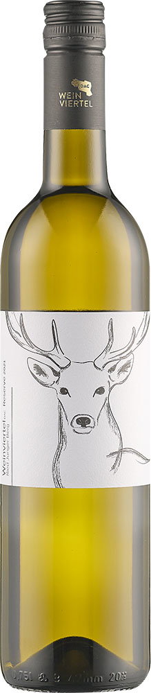 2021 Weinviertel DAC Reserve Junger Berg