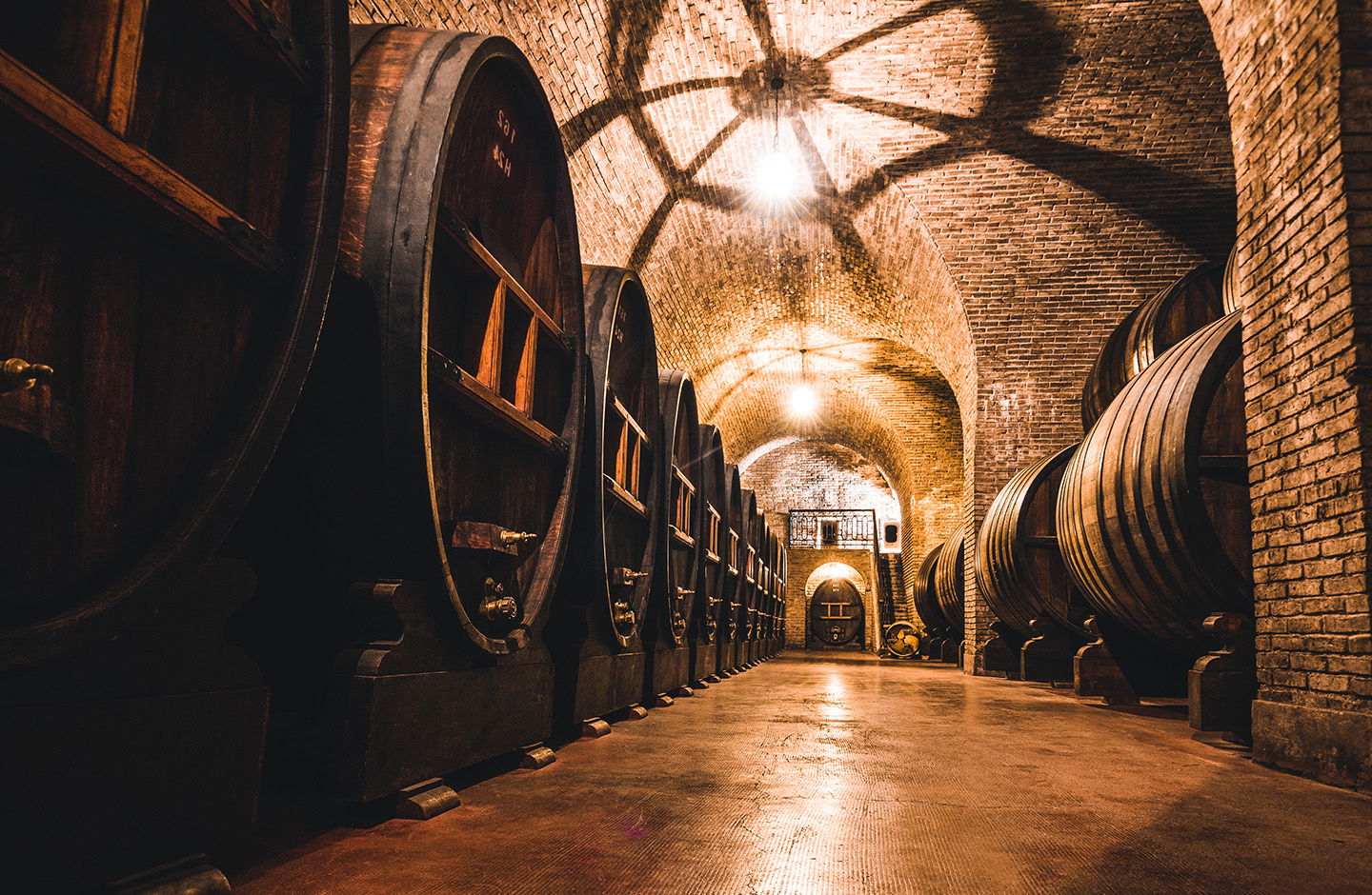 Blauer Portugieser im großen Kennenlernpaket