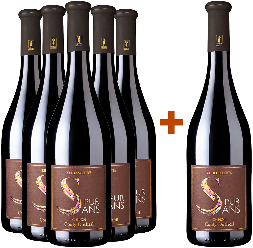 5+1 Paket Pur Sans 2023