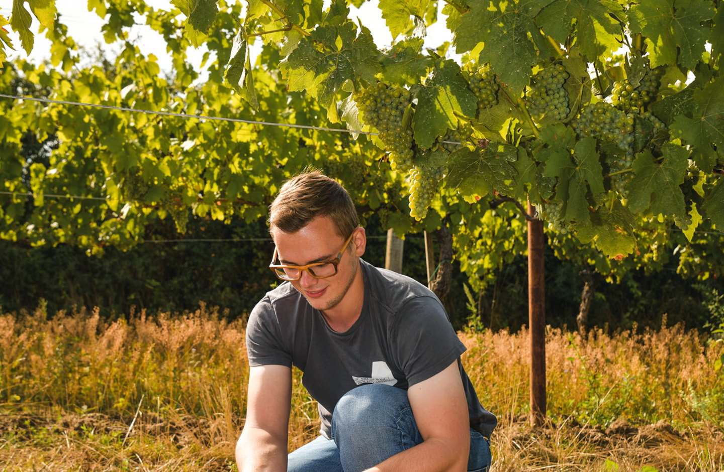 Winzerfamilie Pfalz