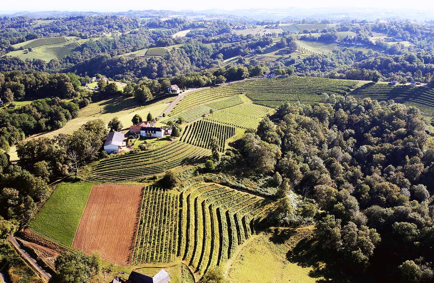 Jura - Mineralität und alpine Frische in Perfektion