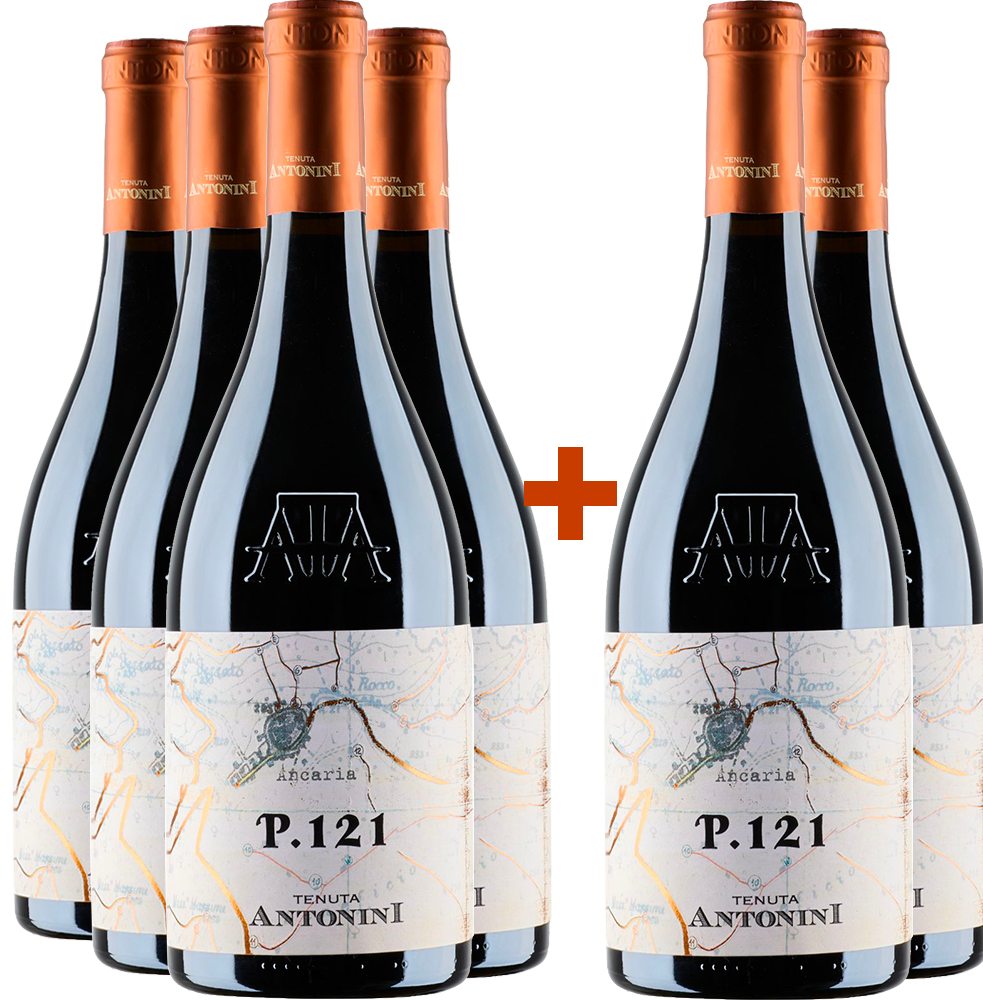 4+2 Paket P.121 Montepulciano D’Abruzzo DOCG