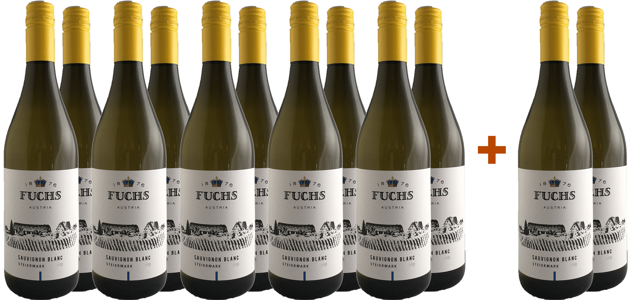 10+2 2024 Steiermark Sauvignon Blanc Paket