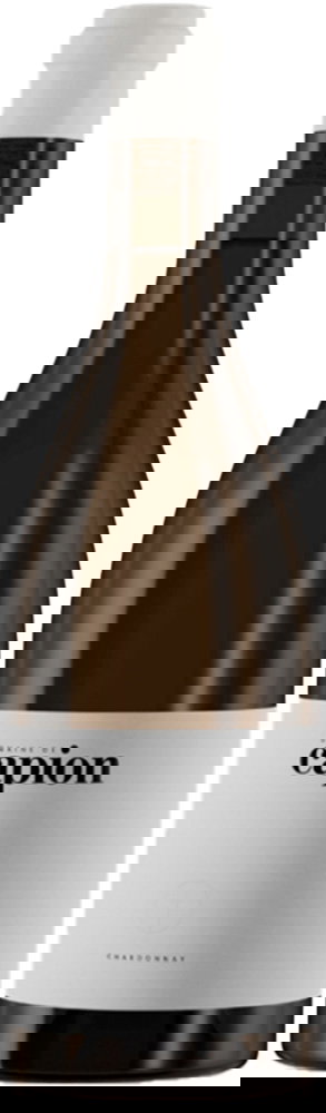 2023 Le Domaine de Capion Blanc Saint Guilhem le Désert IGP BIO