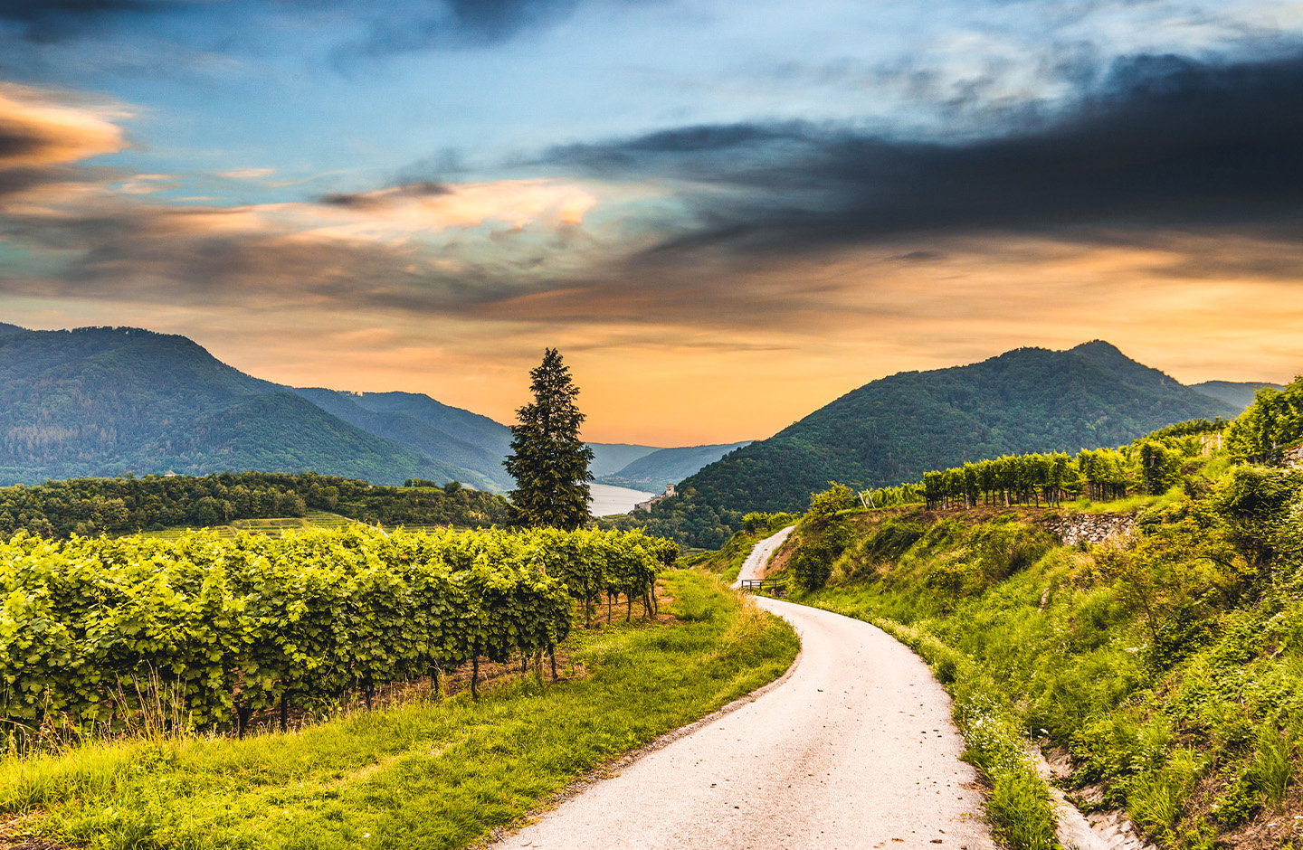 Ein Paket voller jugendlicher Frische zum Vorteilspreis