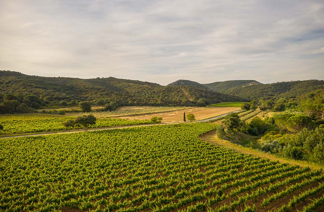 Abbaye de Fontfroide