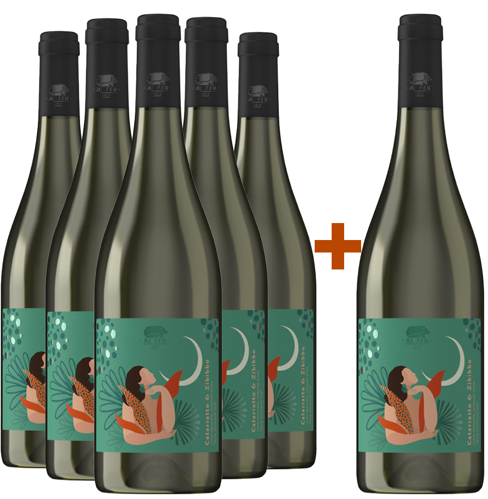 5+1 Paket Catarratto Zibibbo Terre Siciliane IGP