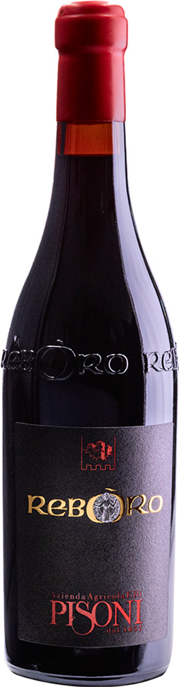 2021 Reboro Vigneti delle Dolomiti IGP BIO