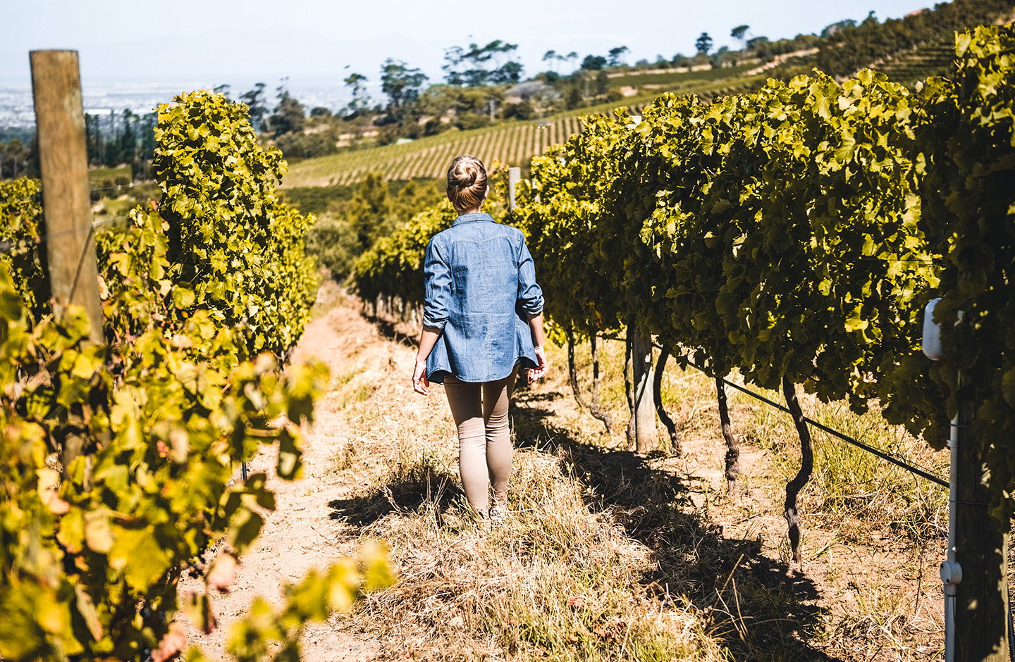 natürlich prickelnder Schaumwein