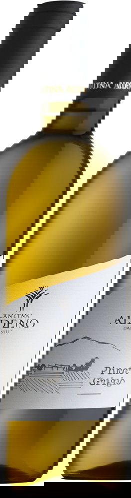 Pinot Grigio Trentino DOC BIO