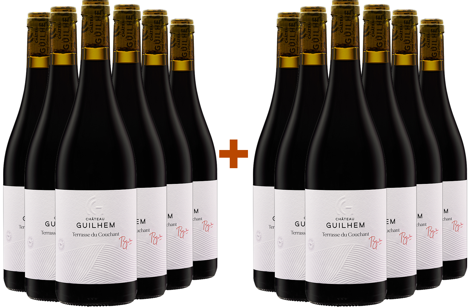 6+6 "Terrasses du Couchant" Malepère Rouge BIO