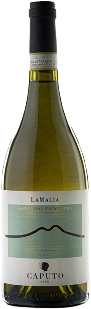 2021 Lamalìa Falanghina Sannio DOC