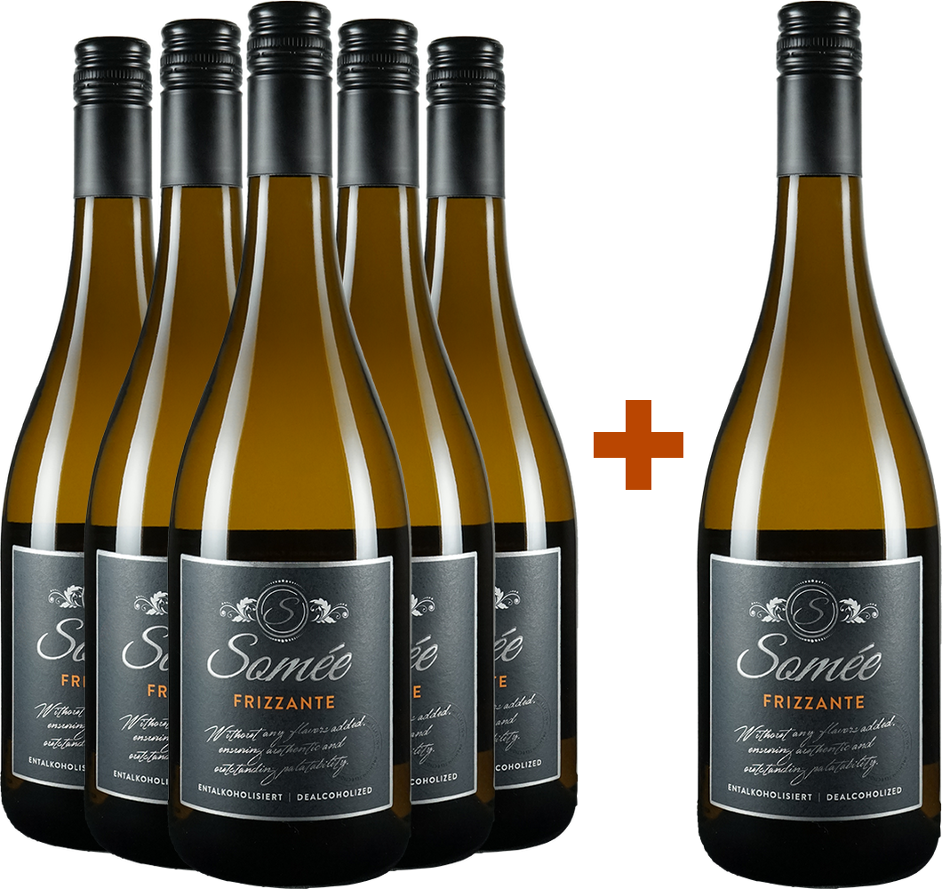 5+1 Somée Frizz alkoholfrei Paket