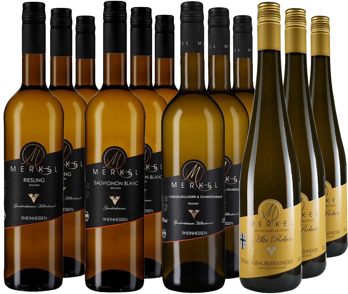 Großes Weißweinpaket BIO